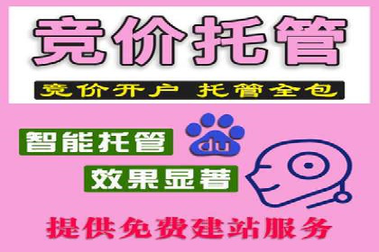 实战经验：SEM网络推广打造行业领军品牌