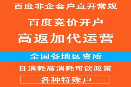 企业在SEM代运营托管公司的帮助下实现品牌升级
